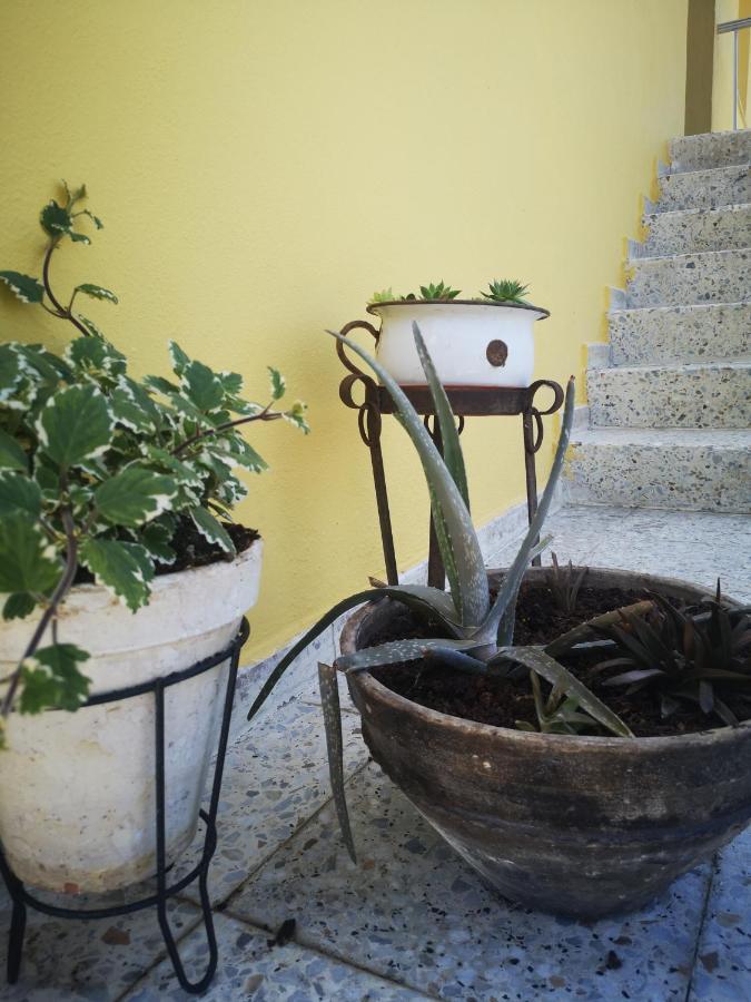 A Maquia Do Pousavedra Sober Dış mekan fotoğraf