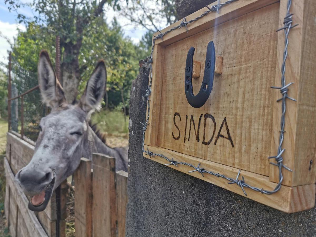 A Maquia Do Pousavedra Sober Dış mekan fotoğraf